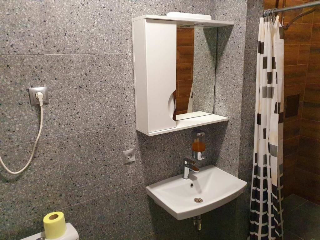 Апартаменты Apartservice in Uzhgorod s39 Ужгород-20